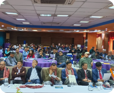 DiMaNN organized a workshop on Grand Bargain and National Reference Group in Nepal